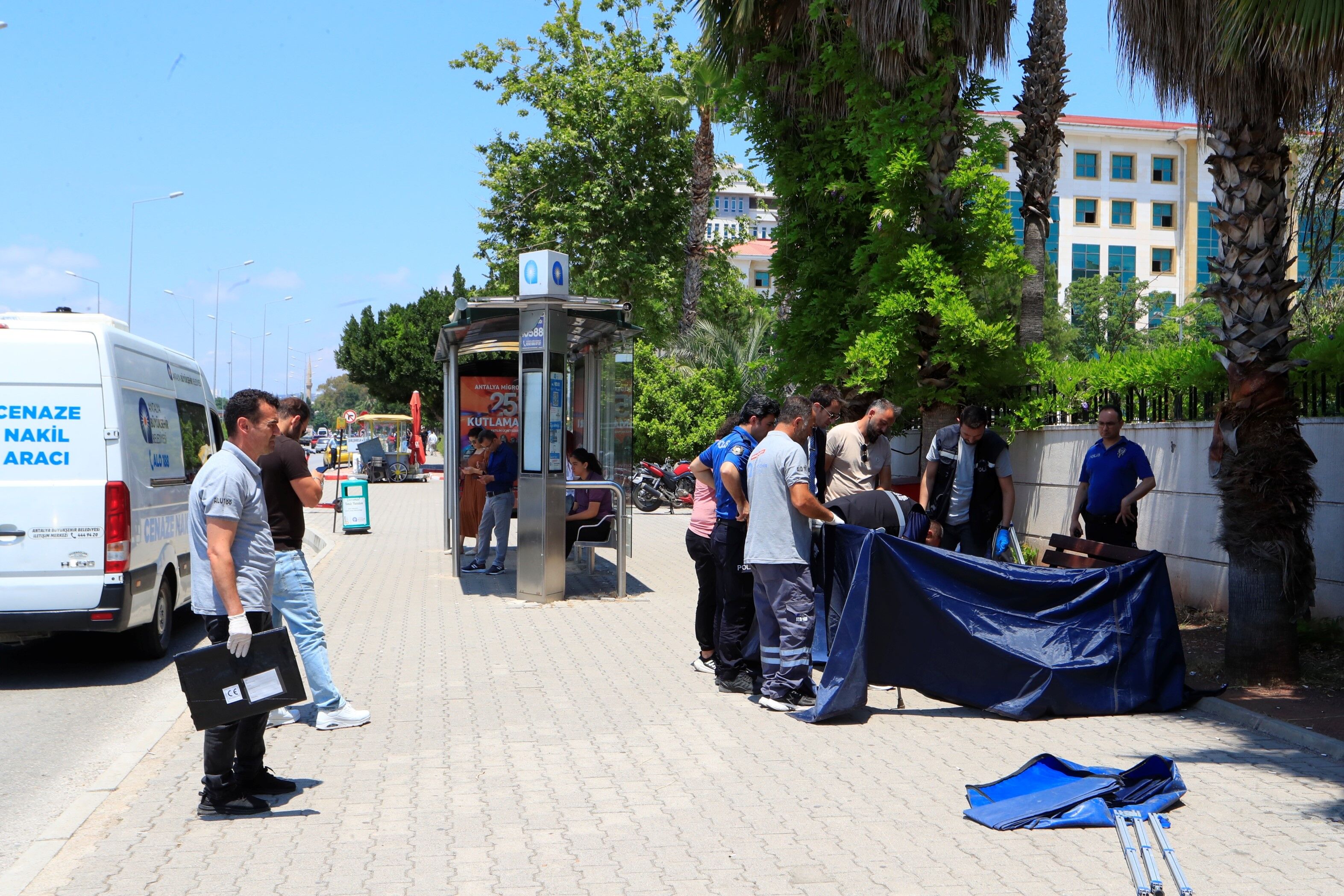Antalyaadliyesionundesupheliolum