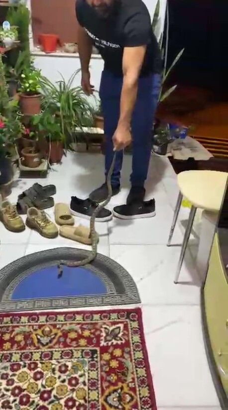 Girenyilanikafaniezerimdiyerekdogayabirakti