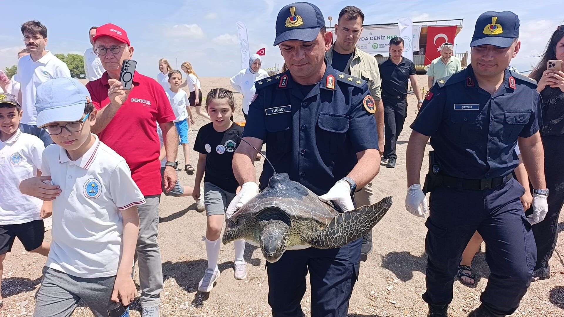 Kaplumbagalarauydutakipcihazlaritakildi