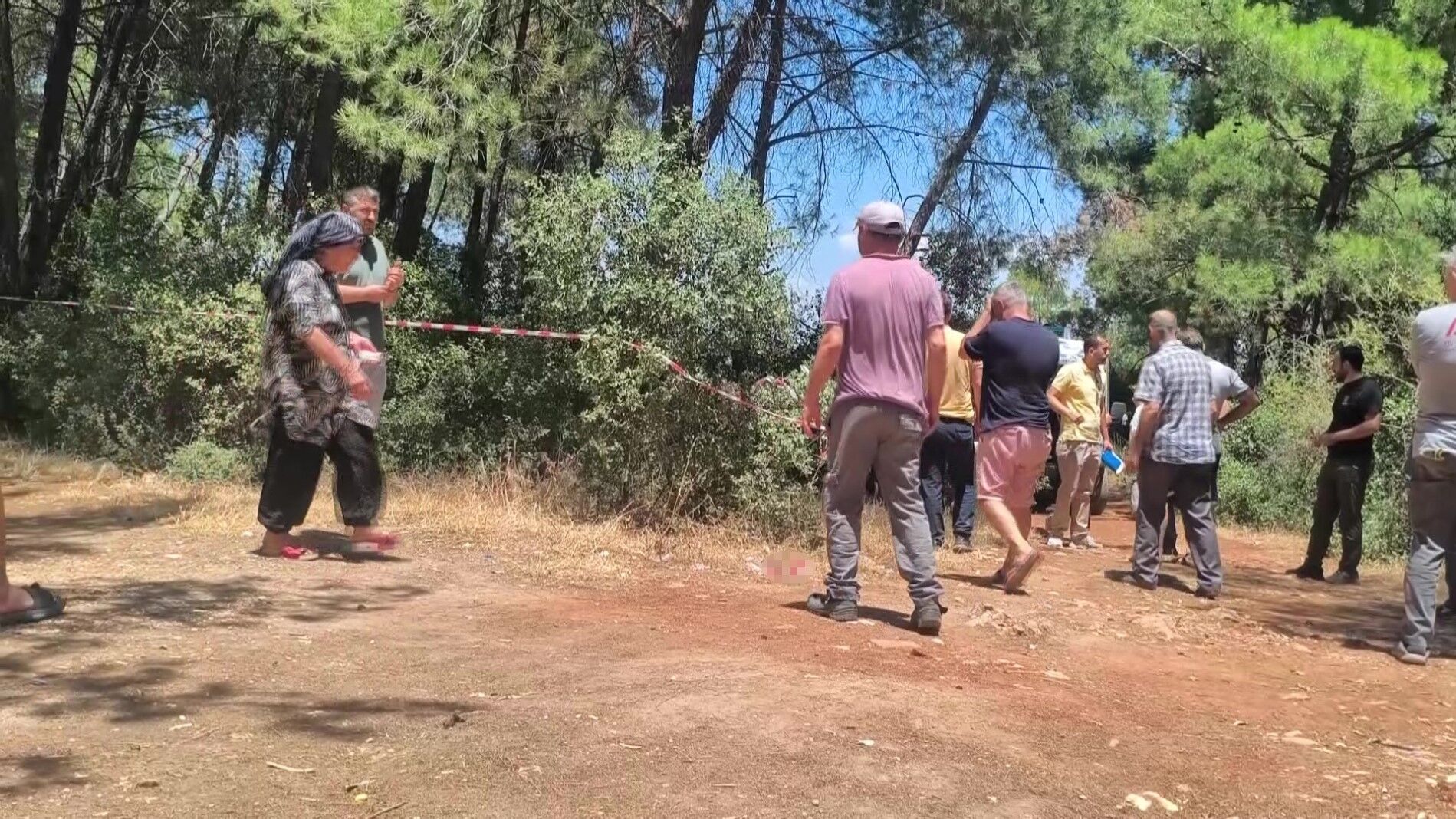 Ormanlikalandacsetbulunduannesininferyadiyurekleridagladi
