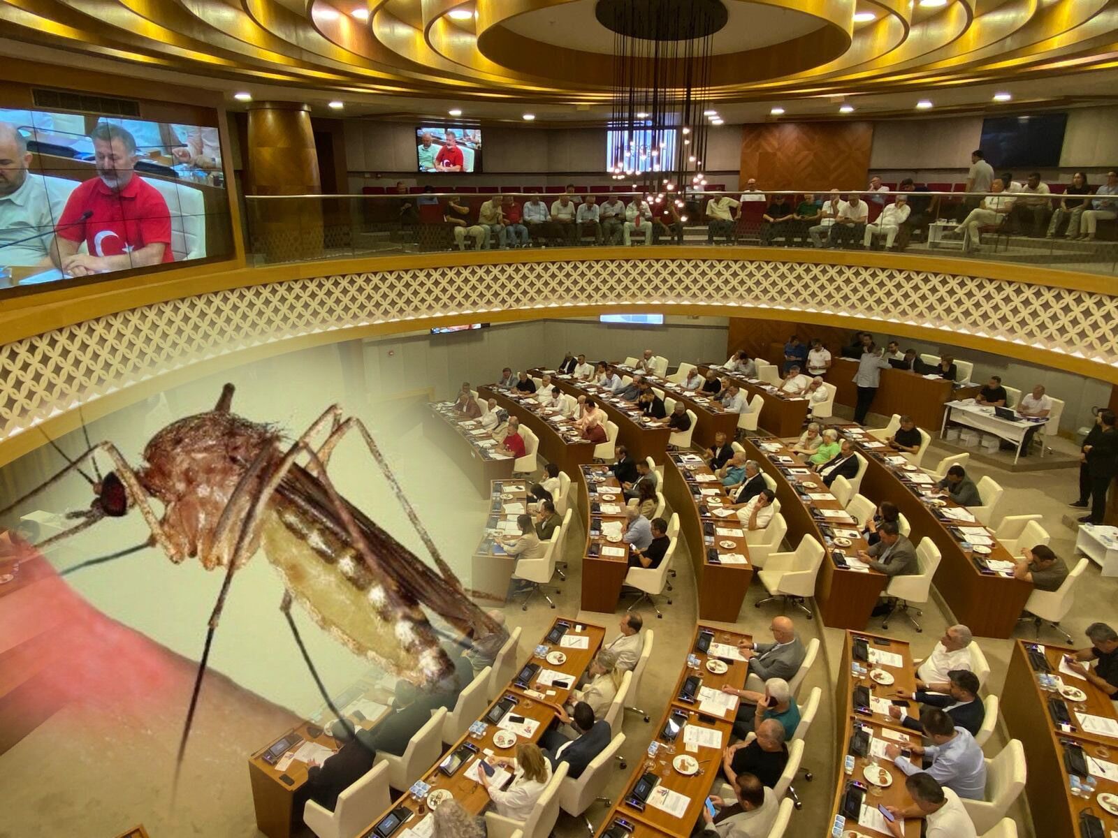 Sifirsivrisinekmumkundegilantalyameclisindencarpiciaciklama