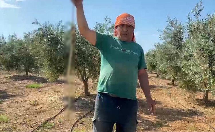 22Bintllikpismanlikgercegiogrenincezircahilimaffedindedi-1