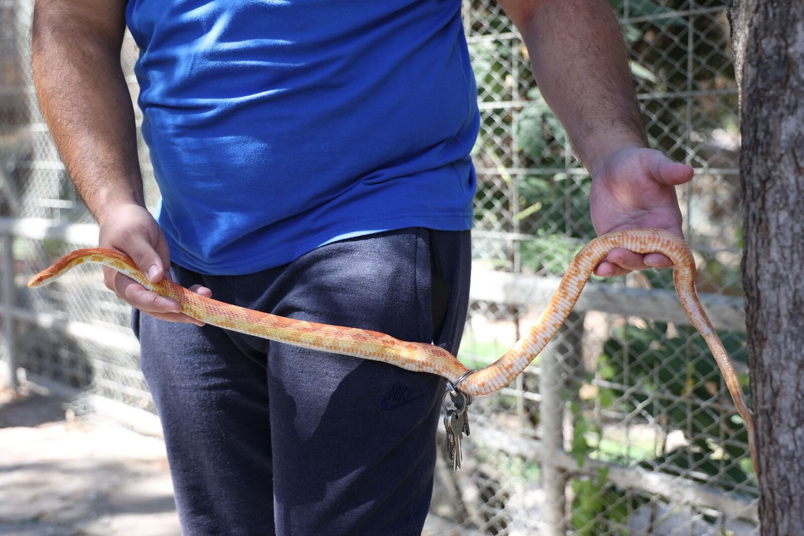 Antalyadadunyayilangunu