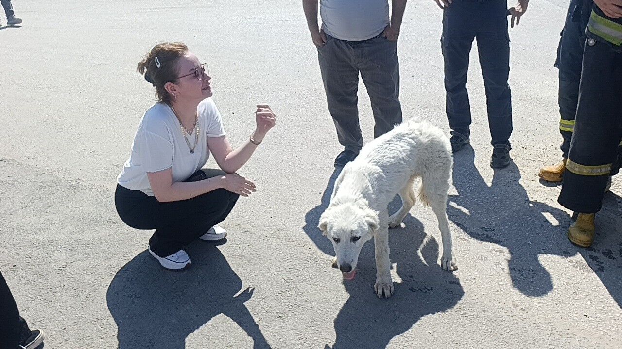 Gunlerdirduyulansesinsirriortayaciktigozyaslariseloldu
