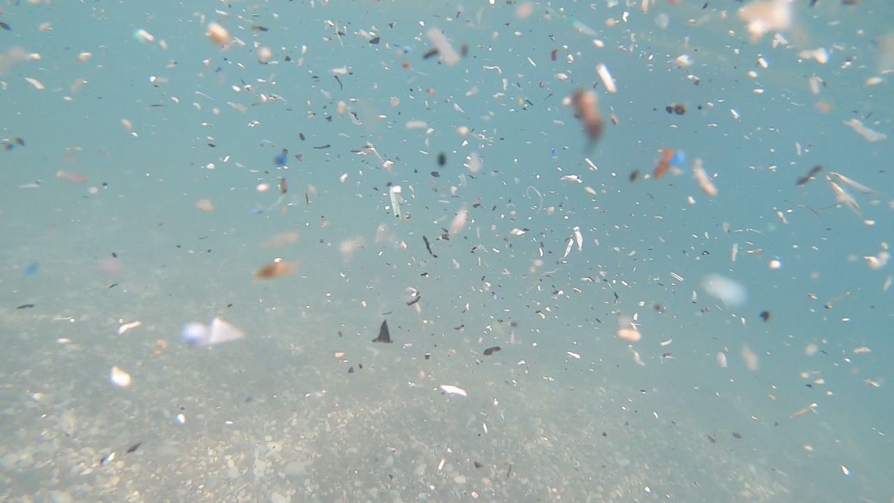 Mikroplastik