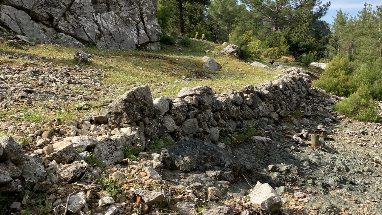 Seriktescillendi