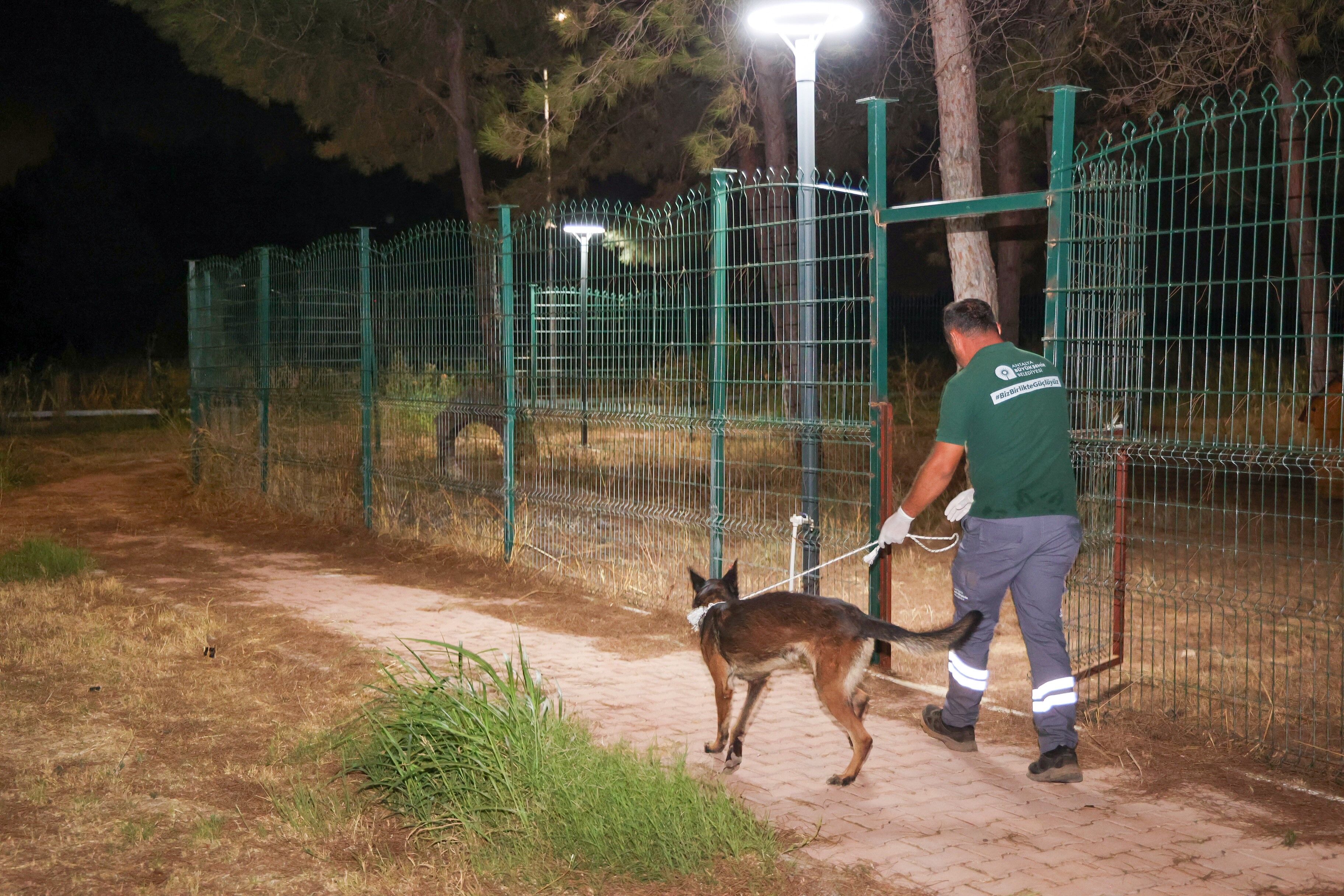 Köpek Taşıma (2)