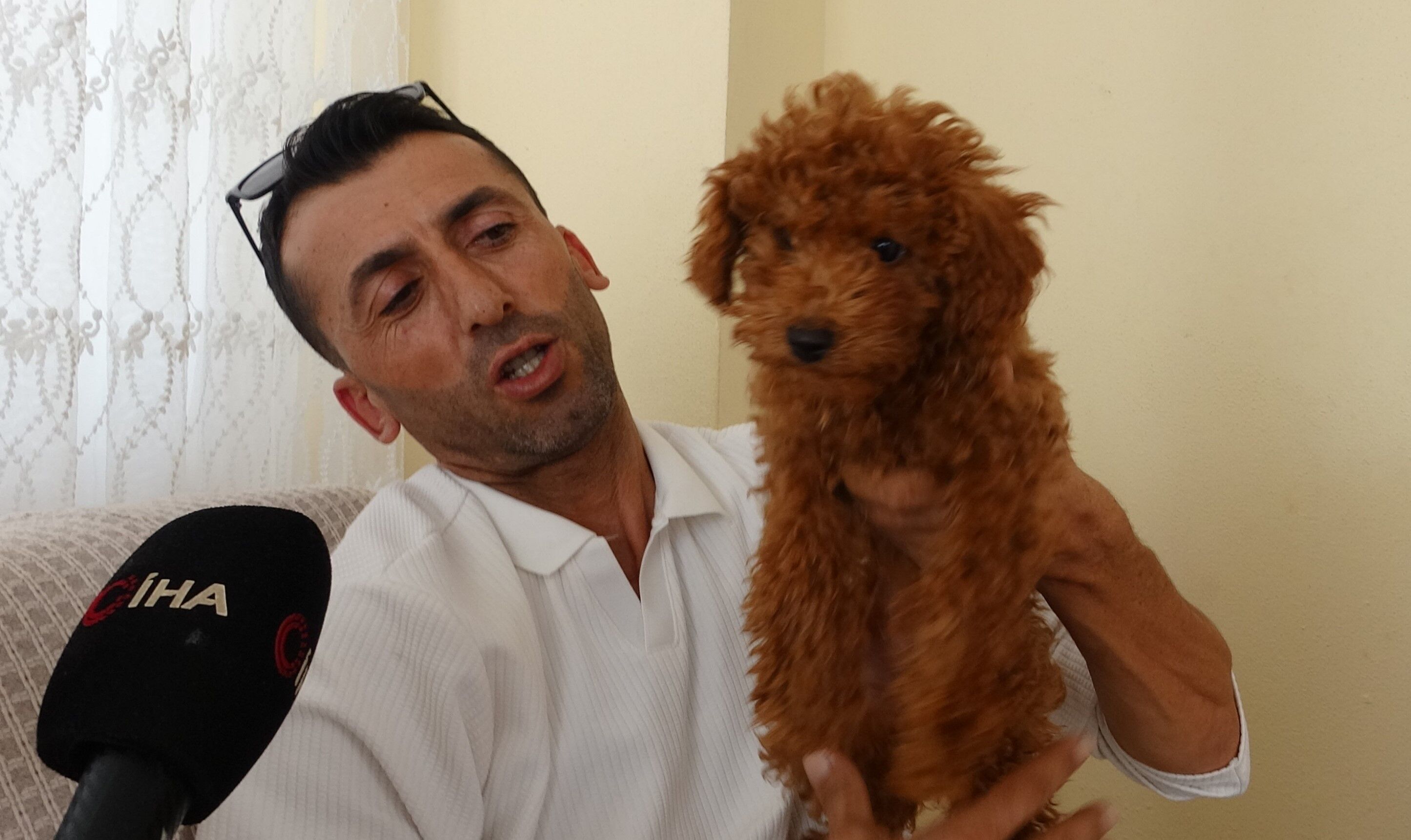 Köpek Şirin Köpek (1)