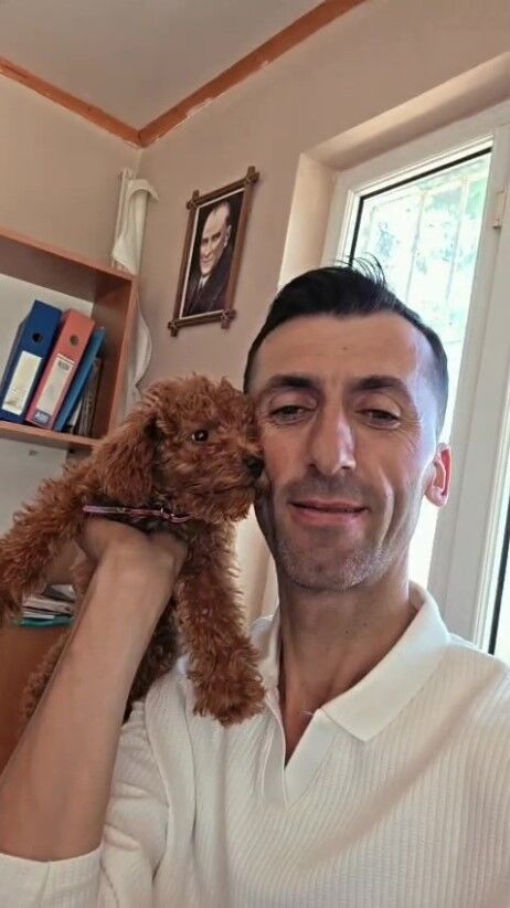 Köpek Şirin Köpek (2)