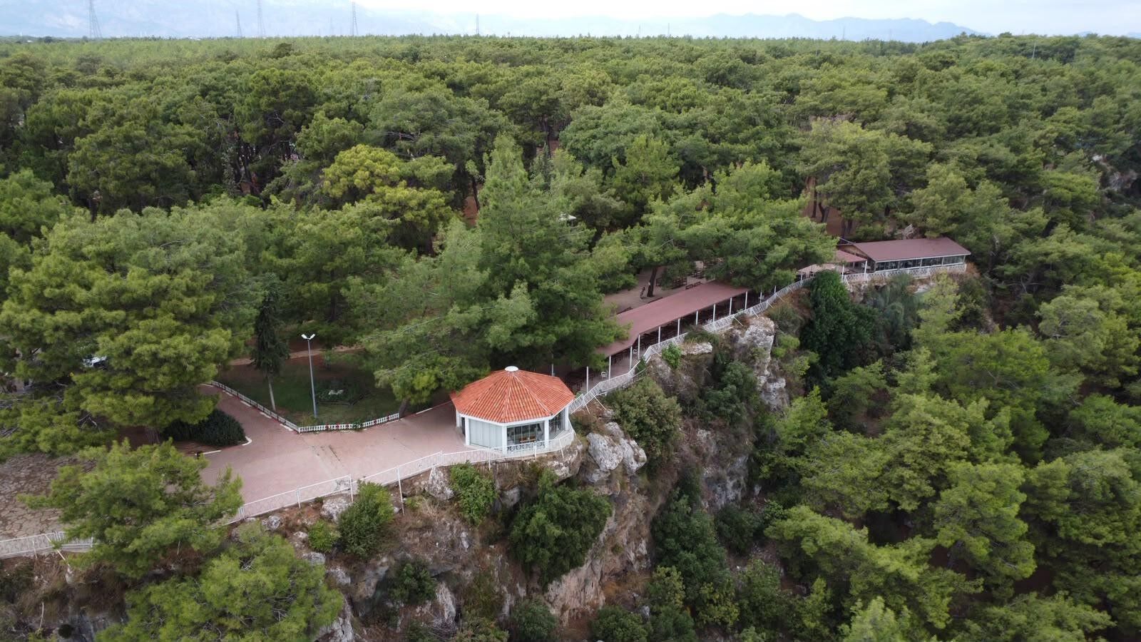 Orman-1
